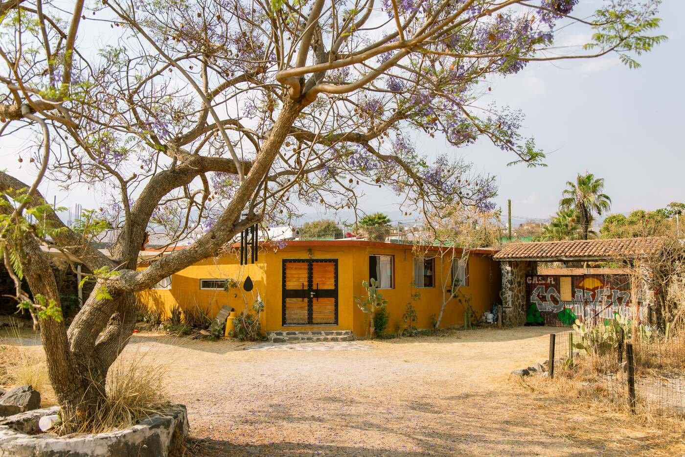 Fachada amarilla de Casa Colmena bajo la jacaranda