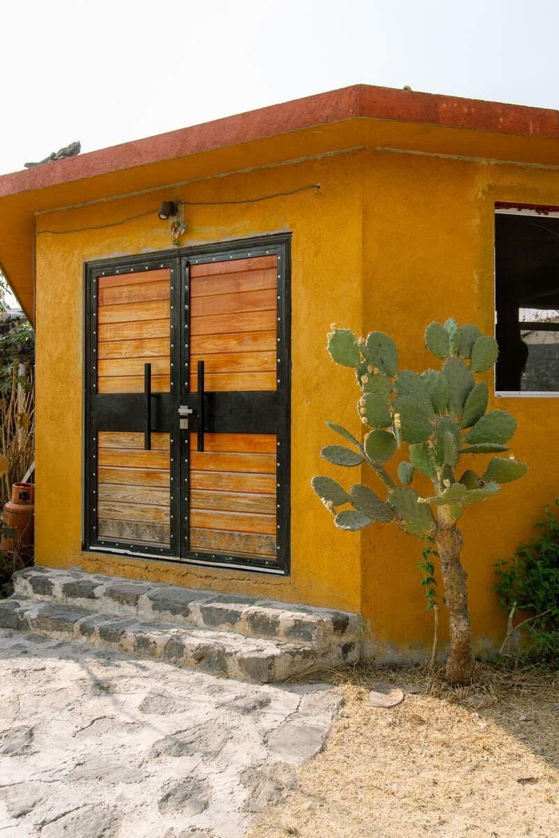 Puerta de madera con cactus